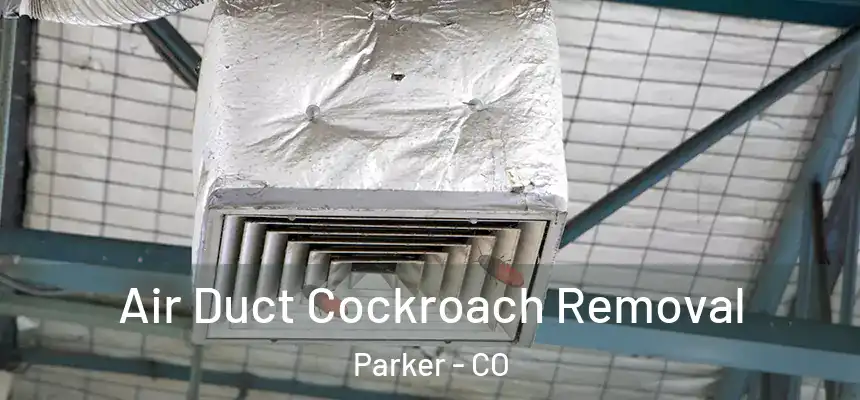  Air Duct Cockroach Removal Parker - CO