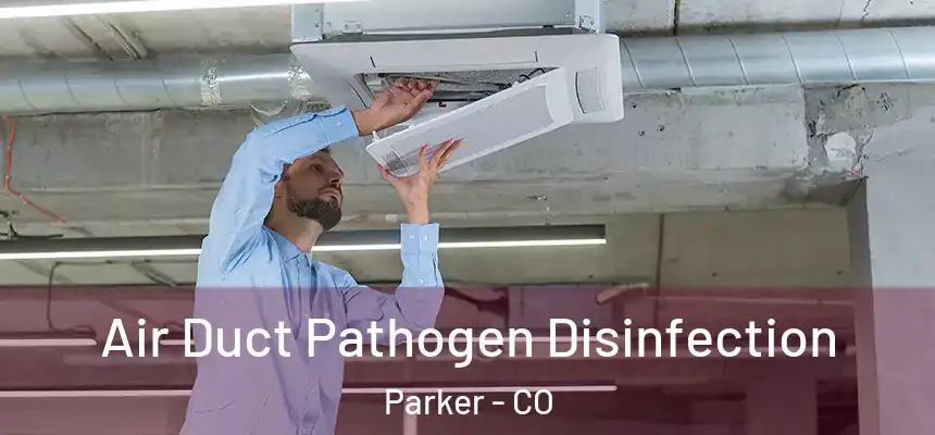 Air Duct Pathogen Disinfection Parker - CO