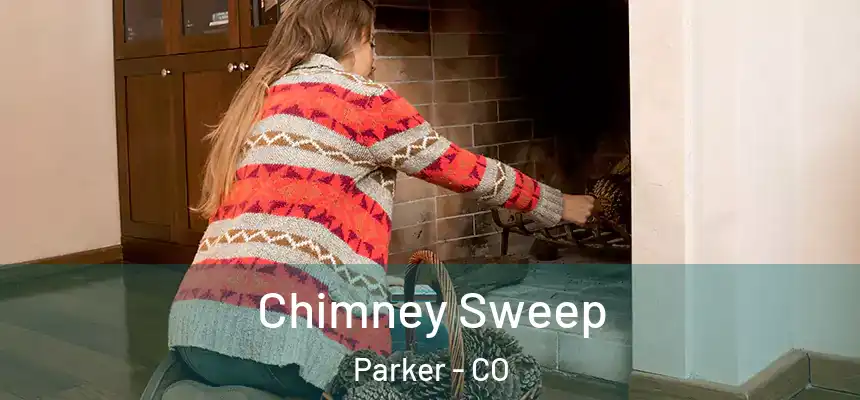 Chimney Sweep Parker - CO