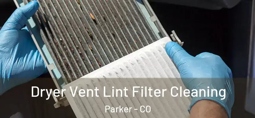  Dryer Vent Lint Filter Cleaning Parker - CO
