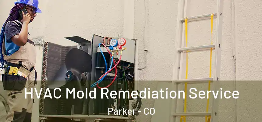  HVAC Mold Remediation Service Parker - CO