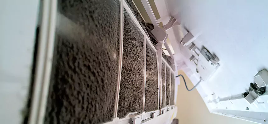 Preventive Air Duct Bacteria Removal in Parker