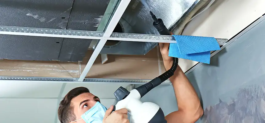Our Air Duct Rodent Removal Services in Parker, CO