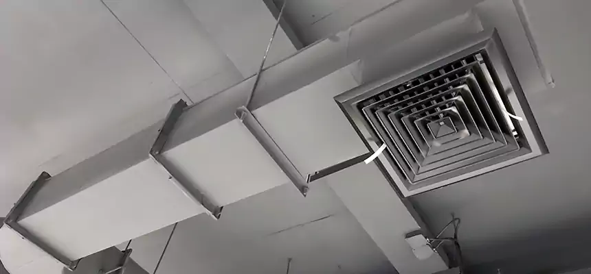 Our Pest Removal From Ducts Services in Parker, CO