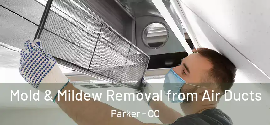  Mold & Mildew Removal from Air Ducts Parker - CO