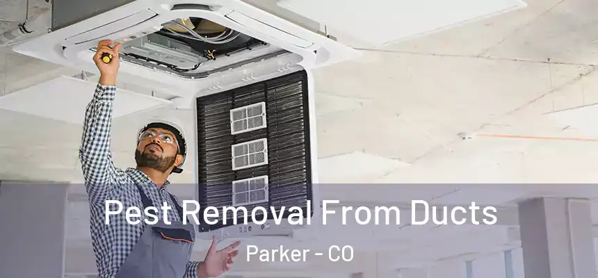  Pest Removal From Ducts Parker - CO