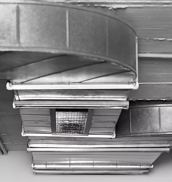 Professional Air Duct Pest Removal in Parker, CO