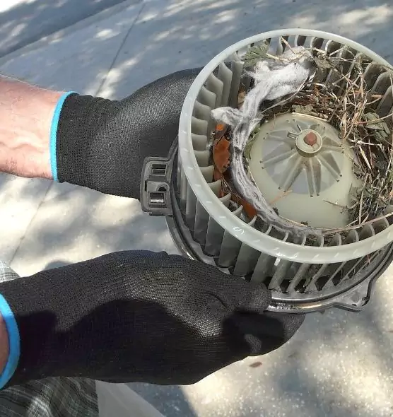 About Air Duct Rat Removal in Parker, CO