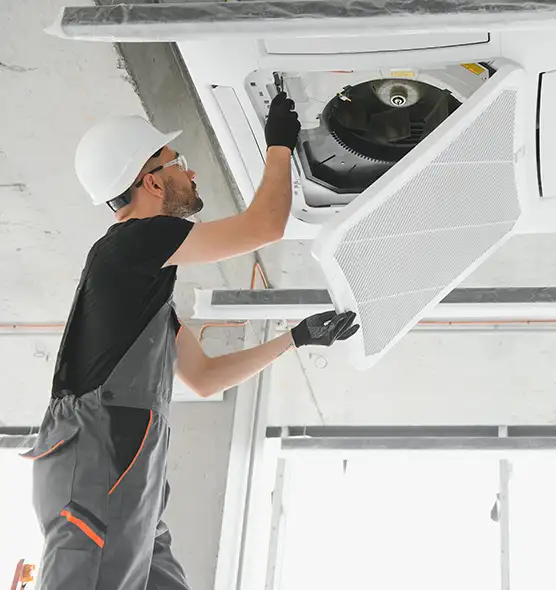 About Air Duct Rodent Removal in Parker, CO