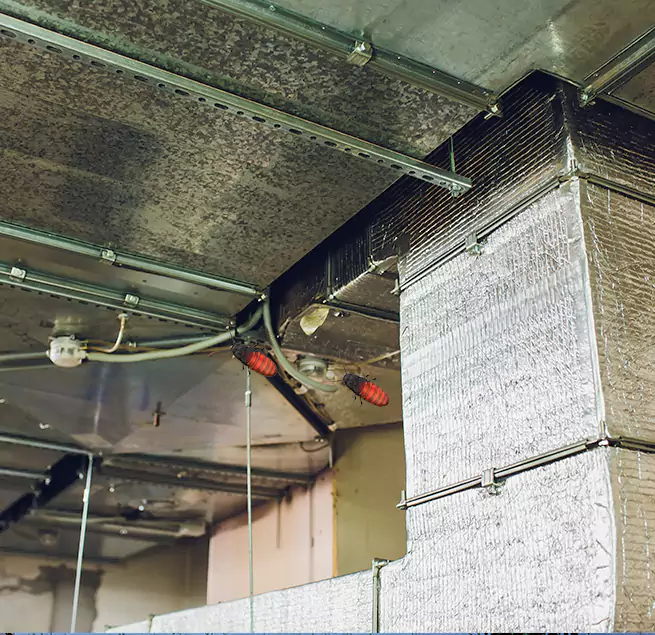 Why Homeowners & Businesses Trust Us Parker, CO?